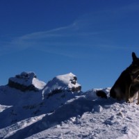 Fotoalbum Skitouren