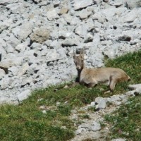 Fotoalbum So Schön ist die Natur