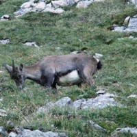 Fotoalbum So Schön ist die Natur