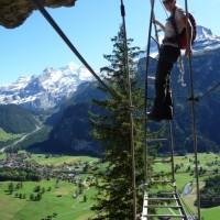 Fotoalbum Sommer