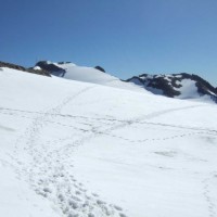 Fotoalbum Sustenhorn - Gwächtenhorn