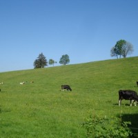 Fotoalbum Wandern