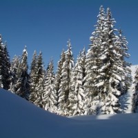 Fotoalbum Winter im Berner Oberland