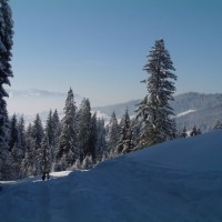 Fotoalbum Winter im Berner Oberland