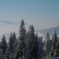 Fotoalbum Winter im Berner Oberland