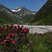 Fotoalbum Zervreilahorn/Surselva