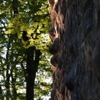 Fotoalbum alter Burgturm Wülflingen