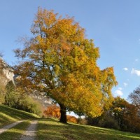 Fotoalbum bouldern und so