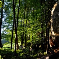 Fotoalbum bouldern und so