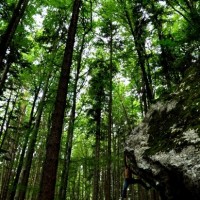 Fotoalbum bouldern und so