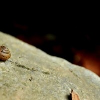 Fotoalbum bouldern und so