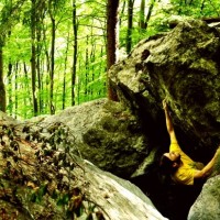 Fotoalbum bouldern und so