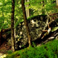 Fotoalbum bouldern und so