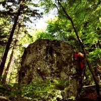 Fotoalbum bouldern und so