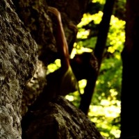 Fotoalbum bouldern und so