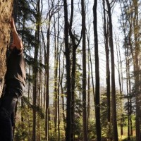 Fotoalbum bouldern und so