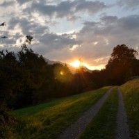 Fotoalbum bouldern und so