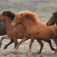 Fotoalbum schöne und eindrücke Erlebnisse