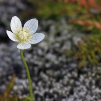 Fotoalbum schöne und eindrücke Erlebnisse