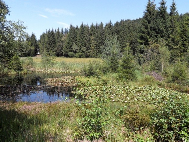 Biosphaere Entlebuch