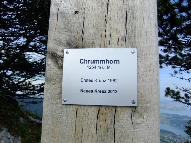 Chrummhorn 1254 m ue M Koord 664179 203088_161717