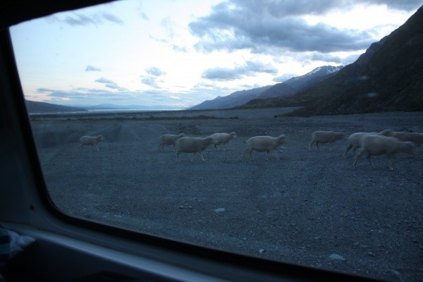 close to mount cook village