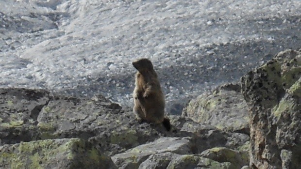 Engadin Trekking_161046