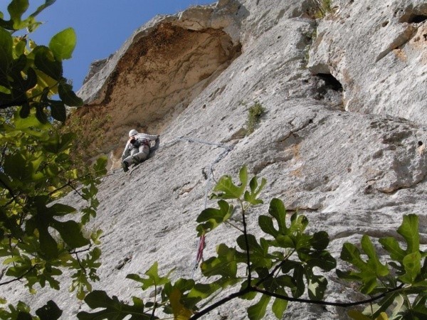 Fontevielle Alpilles 2007