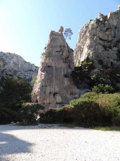 Les Calanques mai 2011_159695