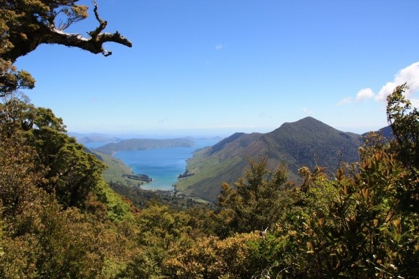 mt stokes track