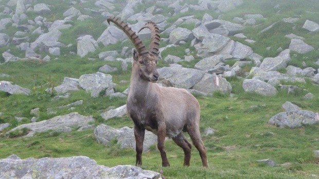 Passo Andolla im Juli um 2012 19 00