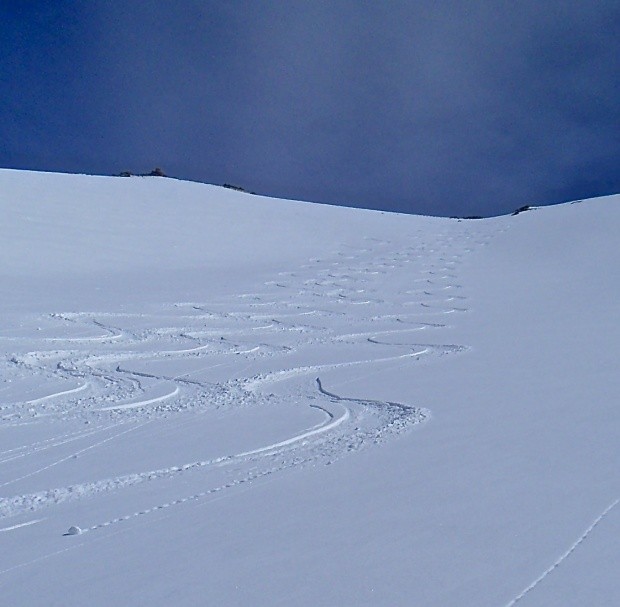 Perfekter Powder und vier Spuren 