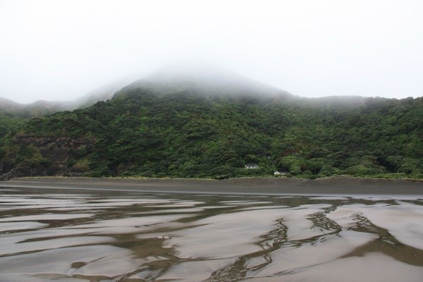 piha beach