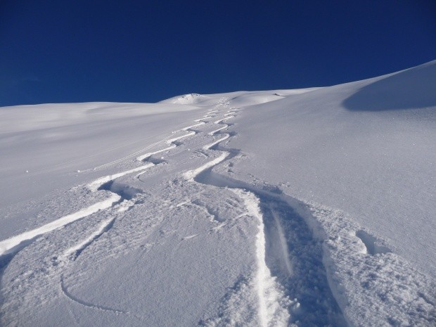 Powder im Urnerland Wallis