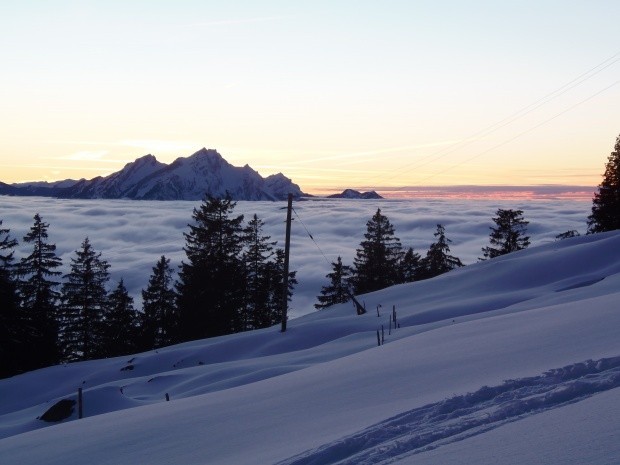 Rigi