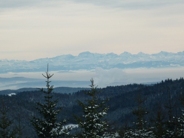 Skitour auf den Bloesling Schwarzwald 