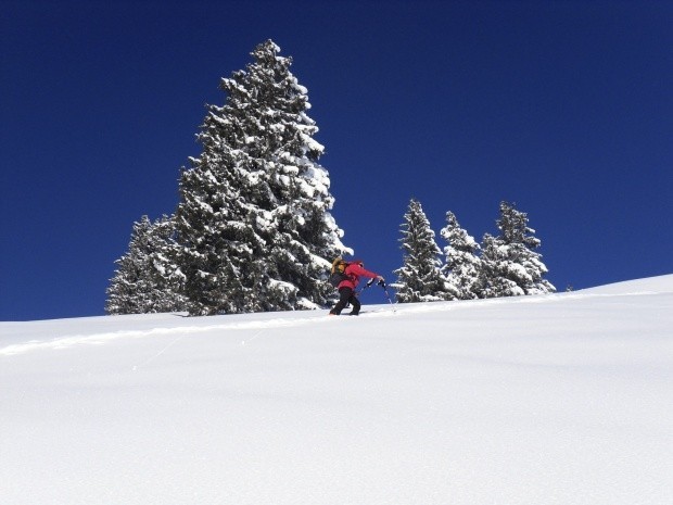 ST Beichlen Entlebuch_154000