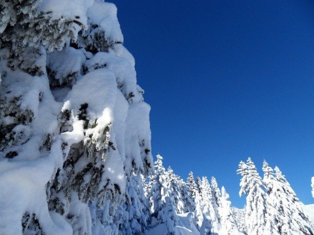 ST Beichlen Entlebuch_154003