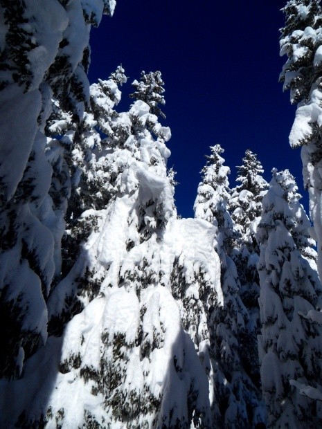 ST Beichlen Entlebuch_154005