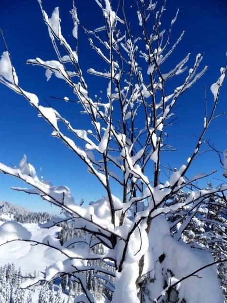 ST Beichlen Entlebuch_154012