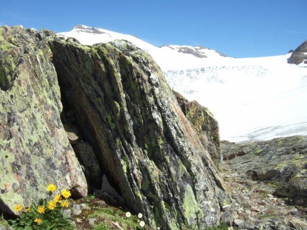 Sustenhorn Gwaechtenhorn_159145