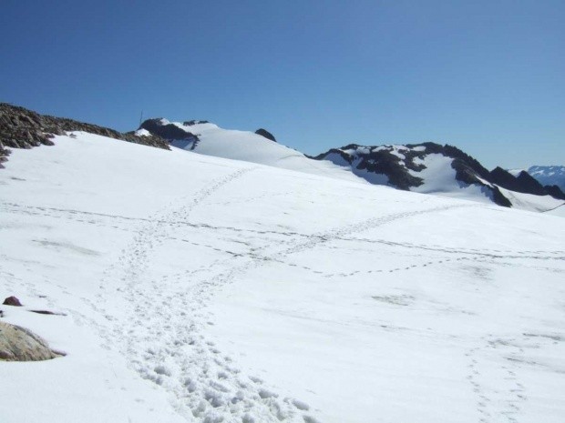 Sustenhorn Gwaechtenhorn_159153