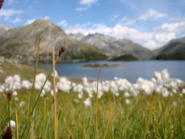 Tour Grimselpass 1