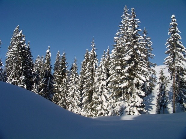 Winter im Berner Oberland_150537