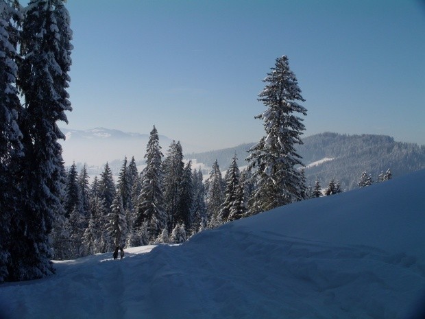 Winter im Berner Oberland_150538