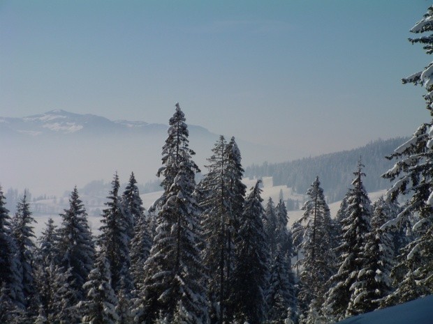 Winter im Berner Oberland_150539