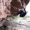 bouldern finnland (Insel Aland)