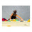 Kletterpartner / Bouldern